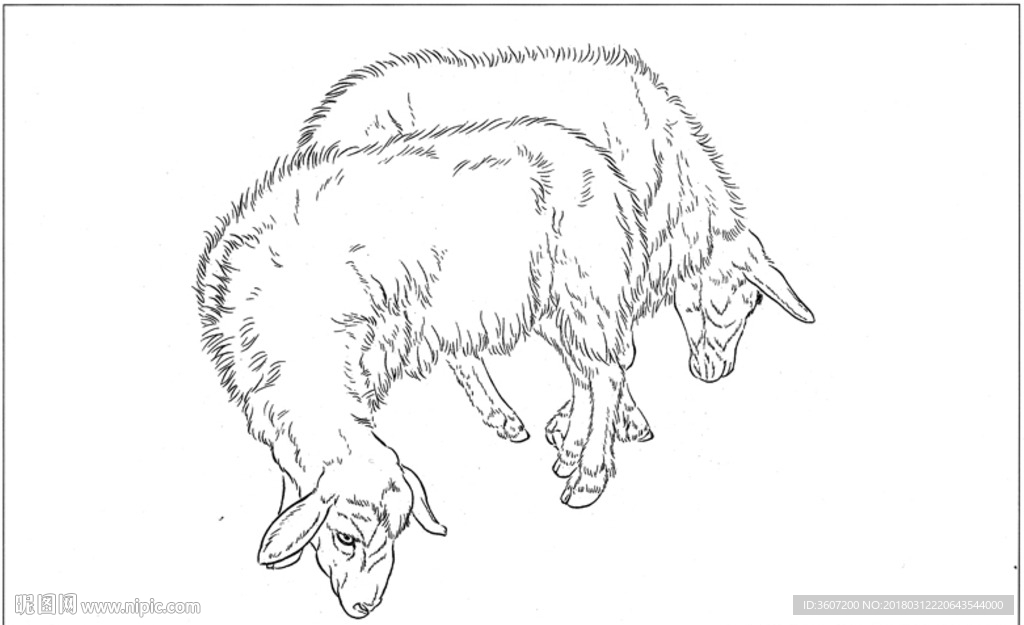 山羊 白描 素描 线描 国画