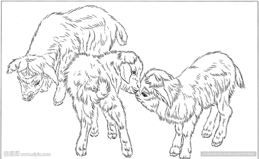 山羊 白描 素描 线描 国画