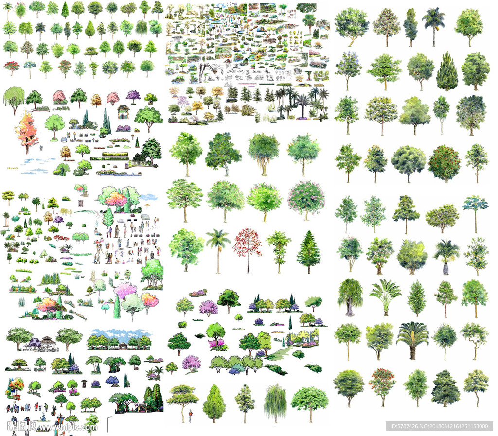 园林植物分层彩图