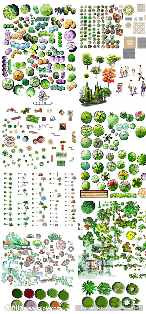 手绘园林植物素材
