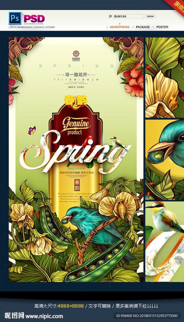 春天插画 手绘花鸟画 春天海报