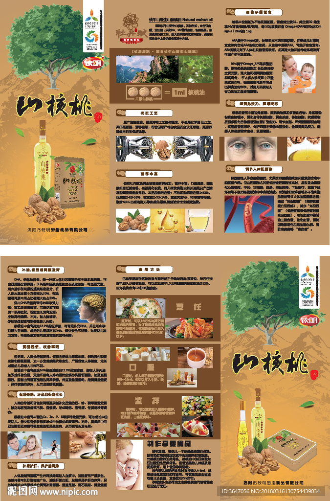 山核桃油产品画册