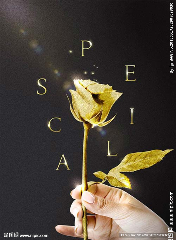 金色玫瑰花朵酒吧音乐情人节婚庆