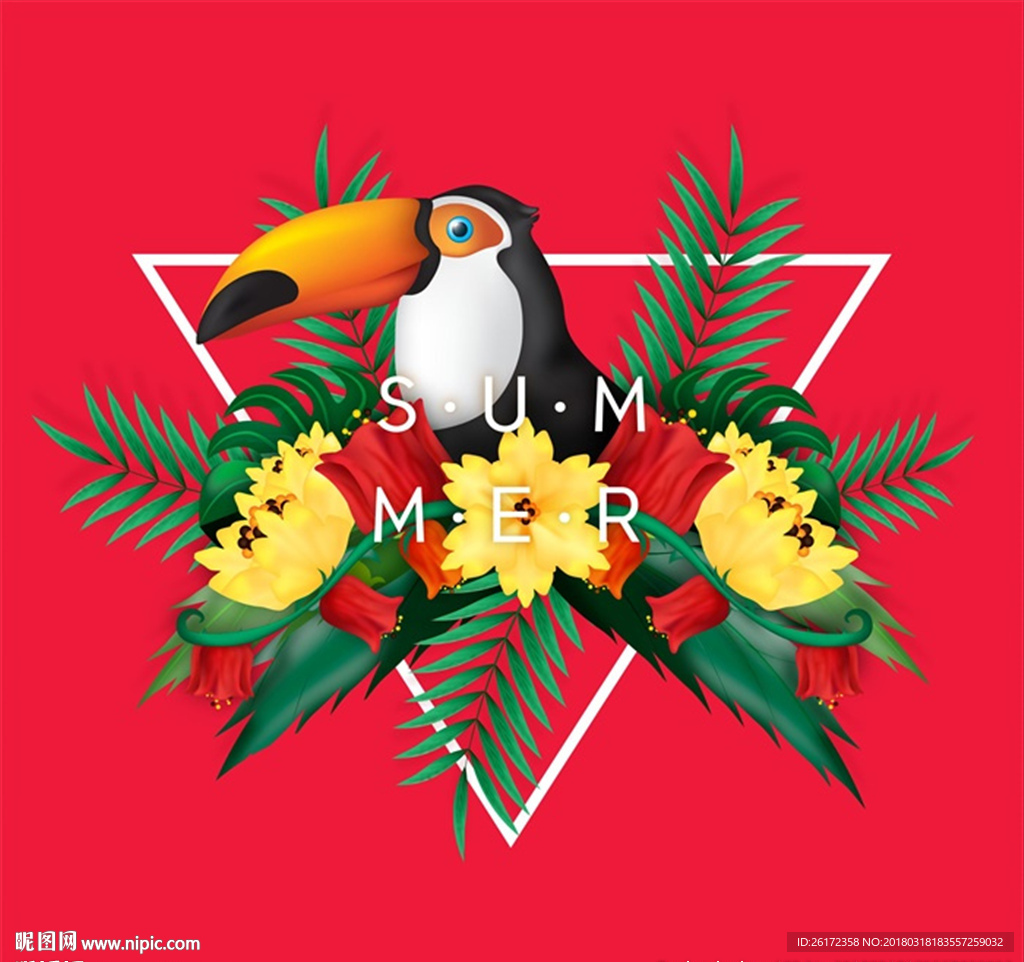 热带植物大嘴鸟背景