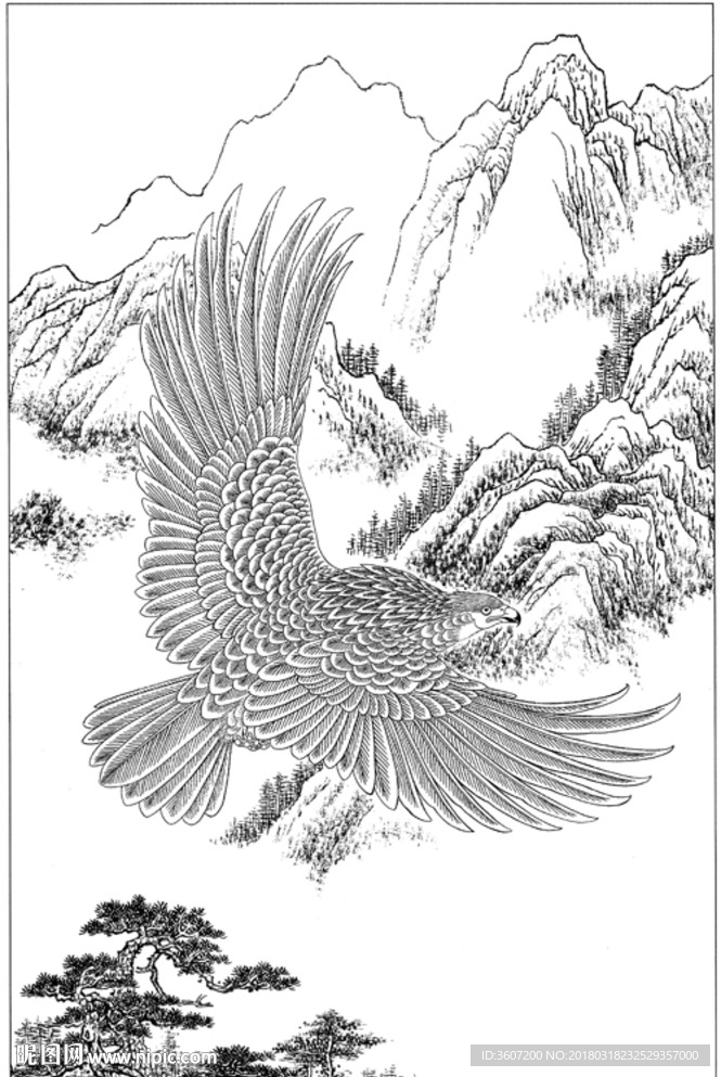 雄鹰 线描 素描 白描 国画