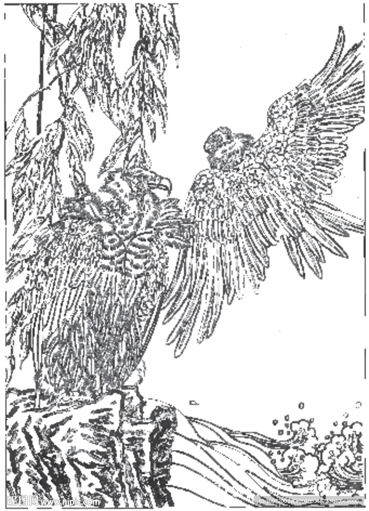 雄鹰 线描 素描 白描 国画