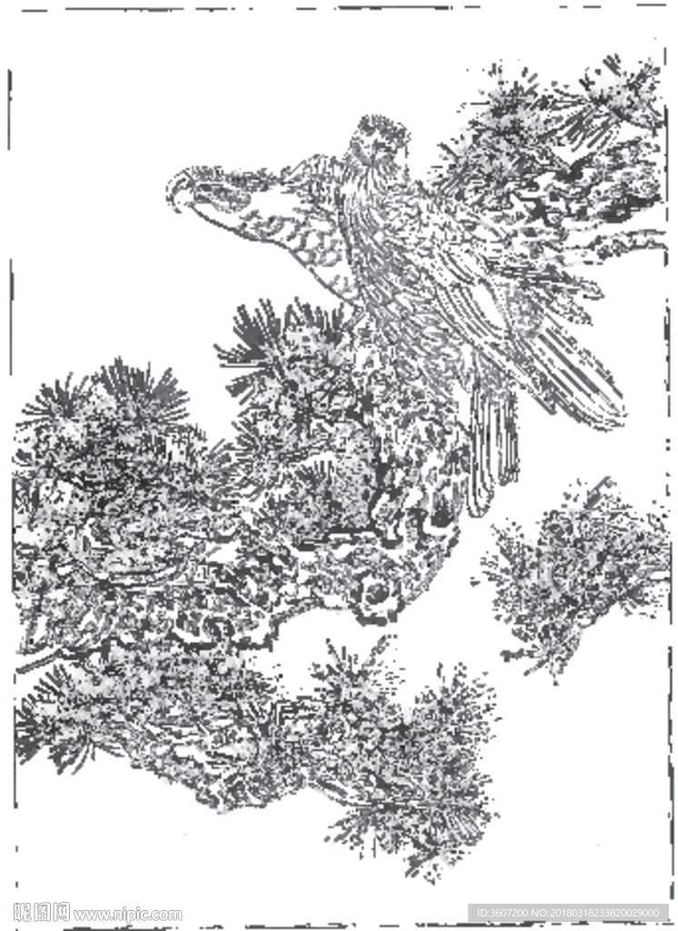 雄鹰 线描 素描 白描 国画