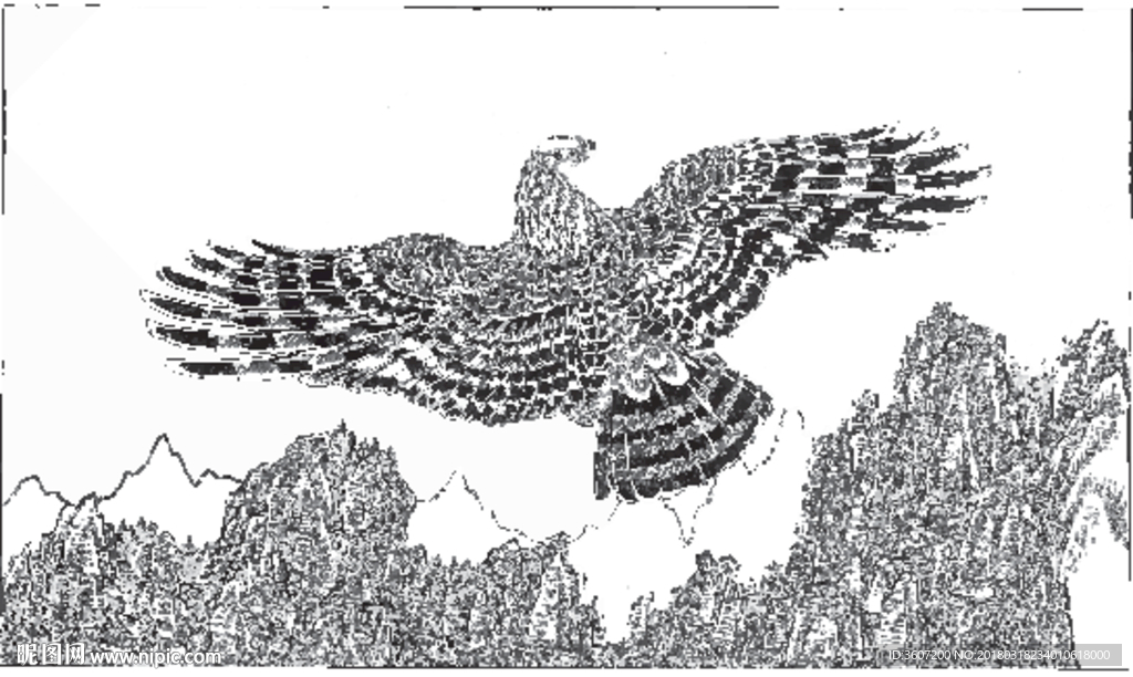 雄鹰 线描 素描 白描 国画