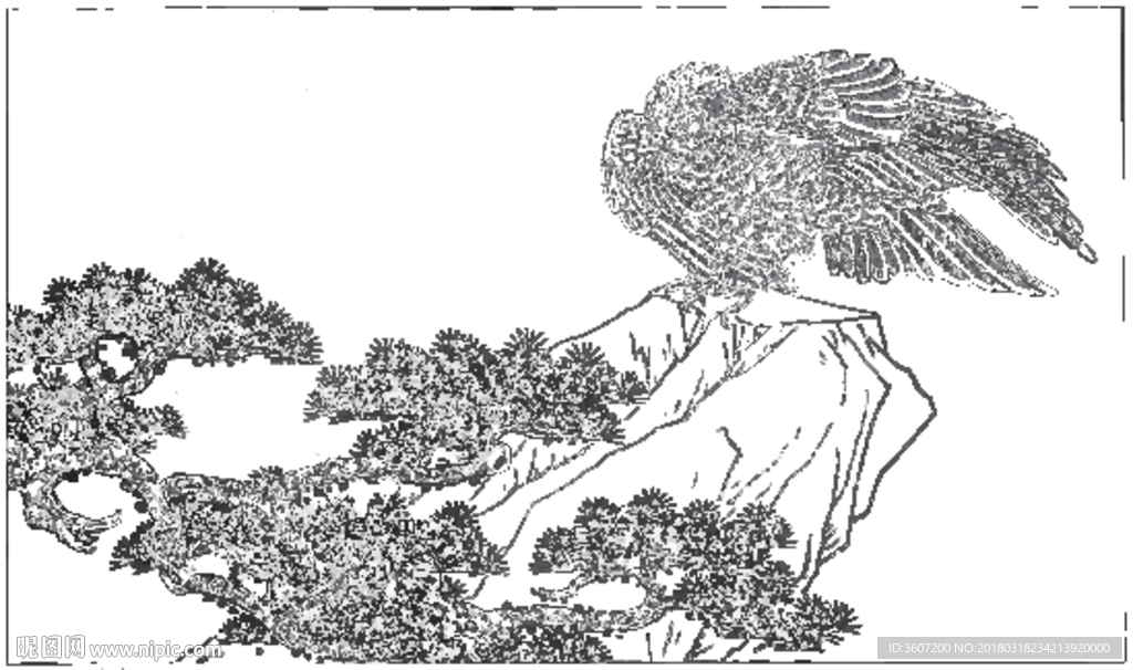 雄鹰 线描 素描 白描 国画