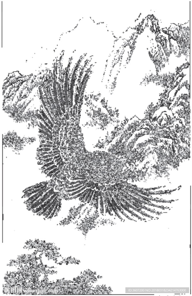 雄鹰 线描 素描 白描 国画