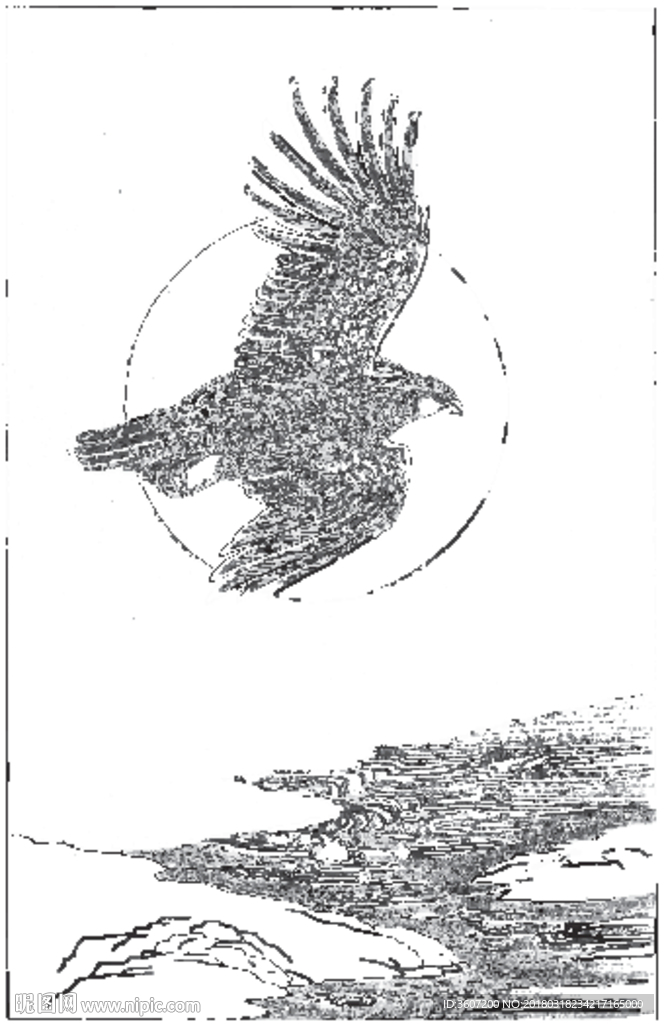 雄鹰 线描 素描 白描 国画