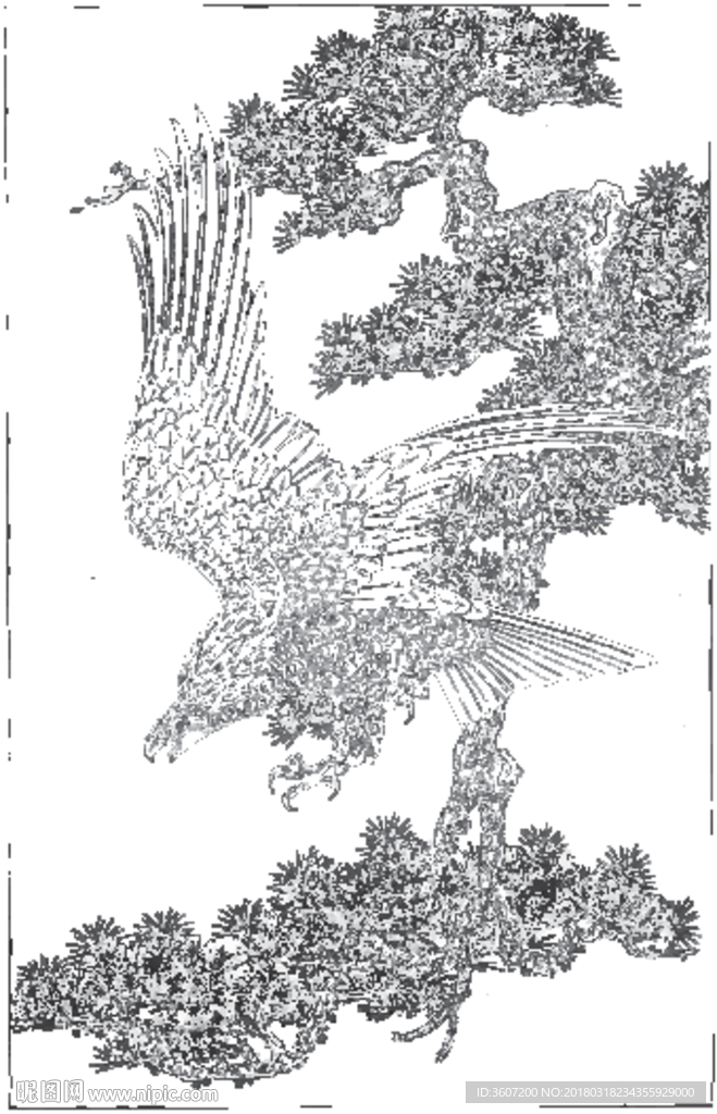 雄鹰 线描 素描 白描 国画