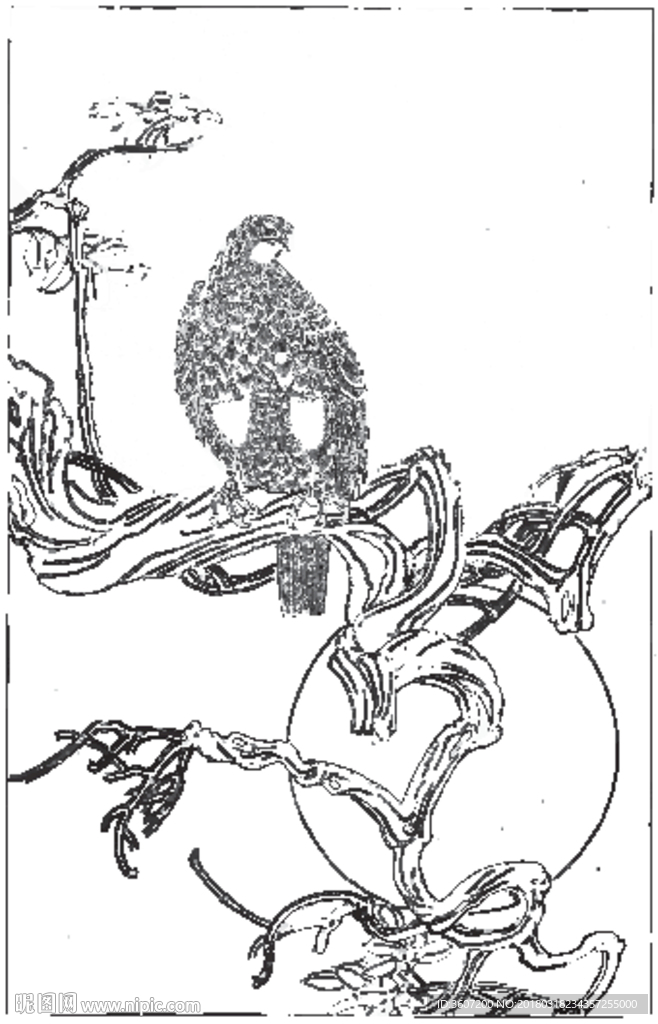 雄鹰 线描 素描 白描 国画