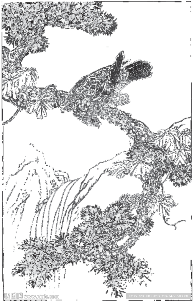 雄鹰 线描 素描 白描 国画