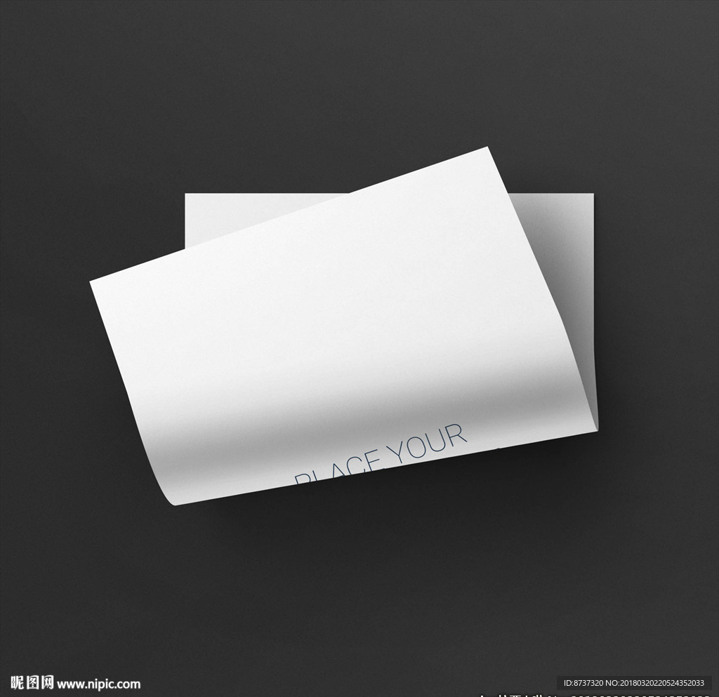 公司企业文案VI样机 A4纸