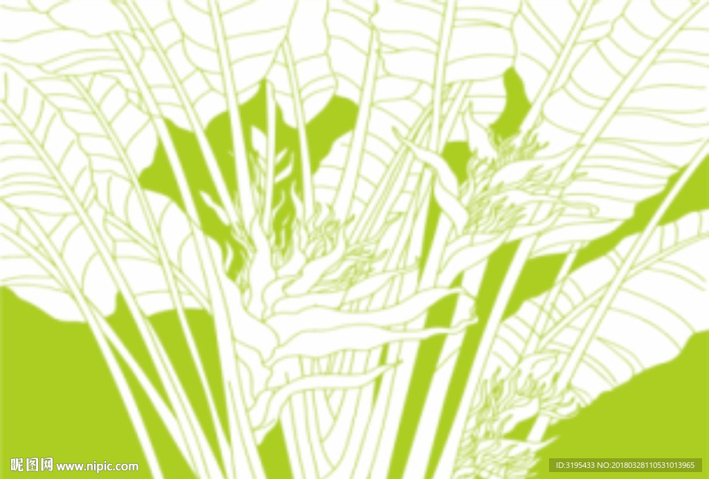 硅藻泥图案   香蕉叶  叶子