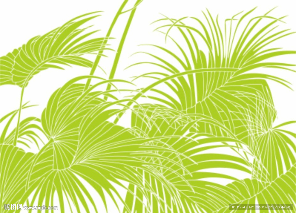 硅藻泥图案  棕树叶 叶子