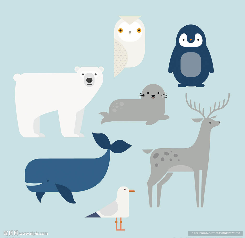扁平南极动物矢量设计素材