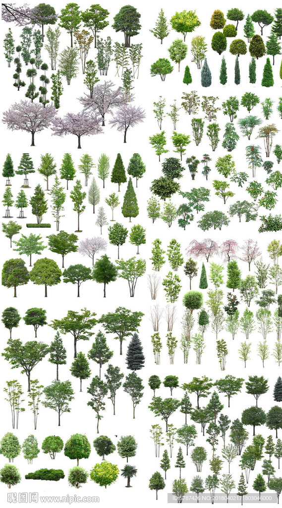 风景树素材集