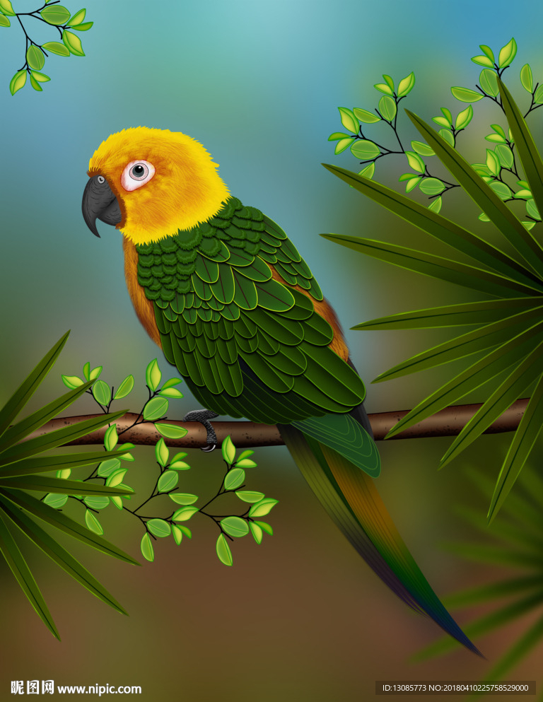 儿童插画写实翠绿金刚鹦鹉