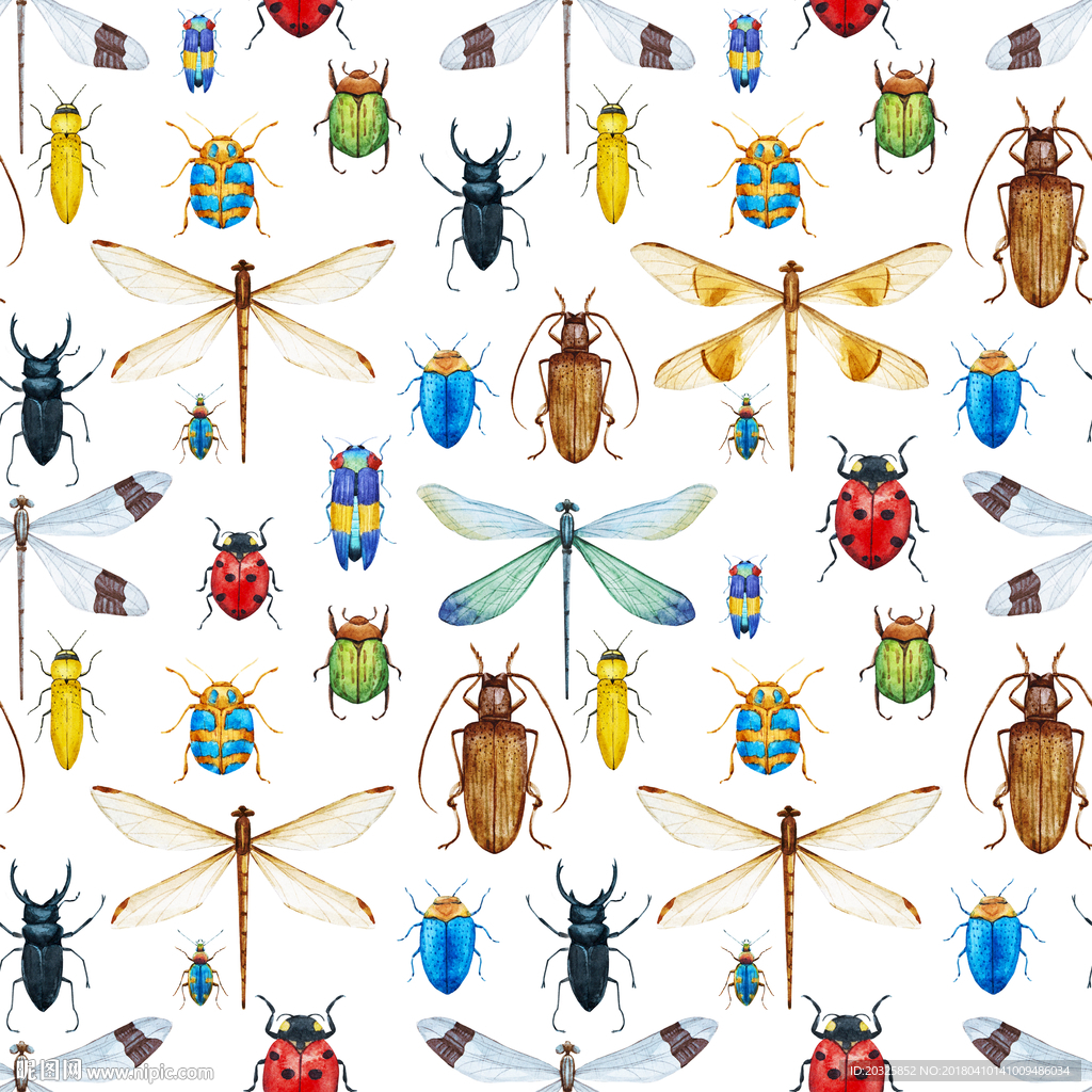 蜻蜓昆虫动物图案