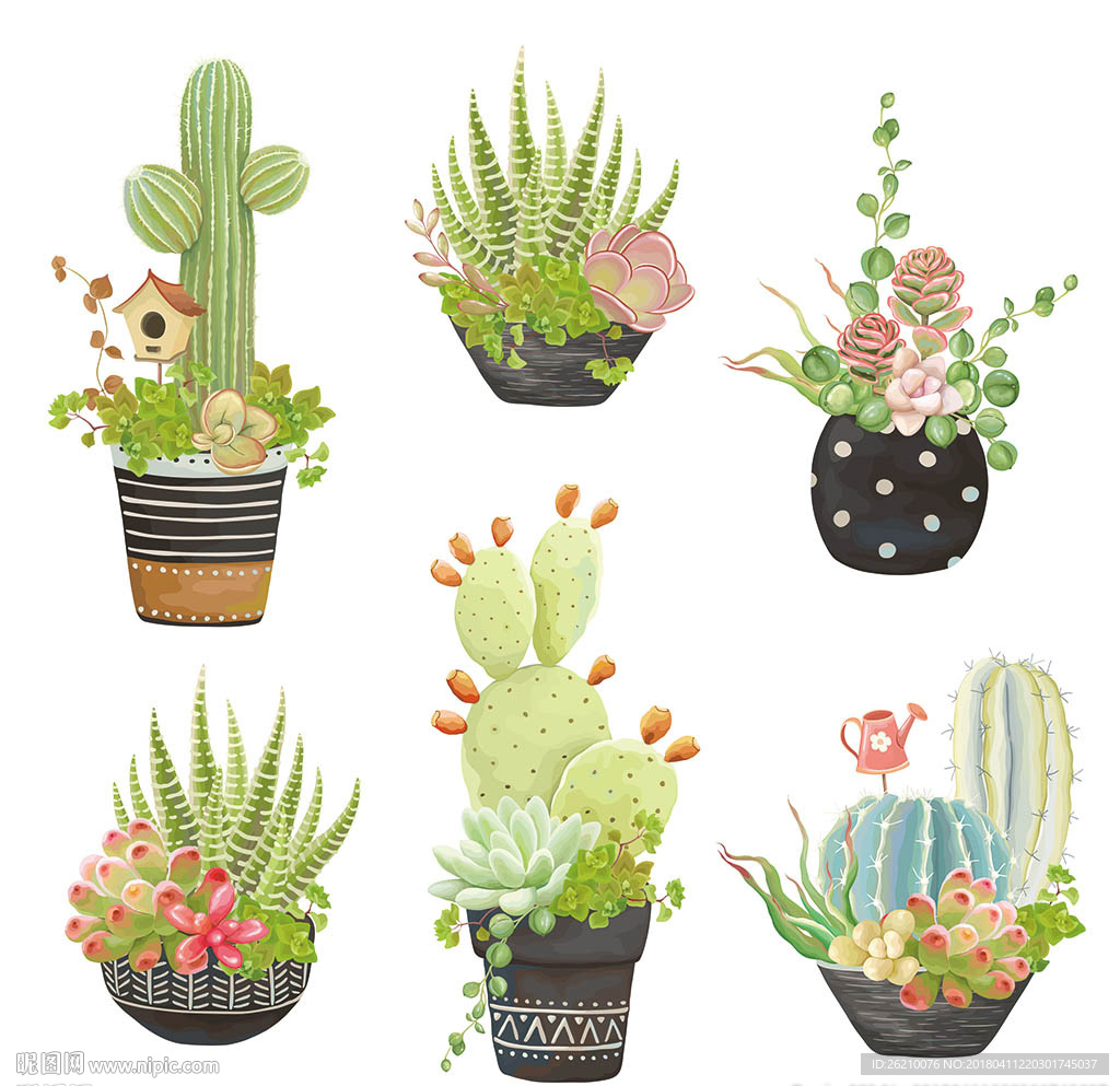 仙人掌卡通设计素材