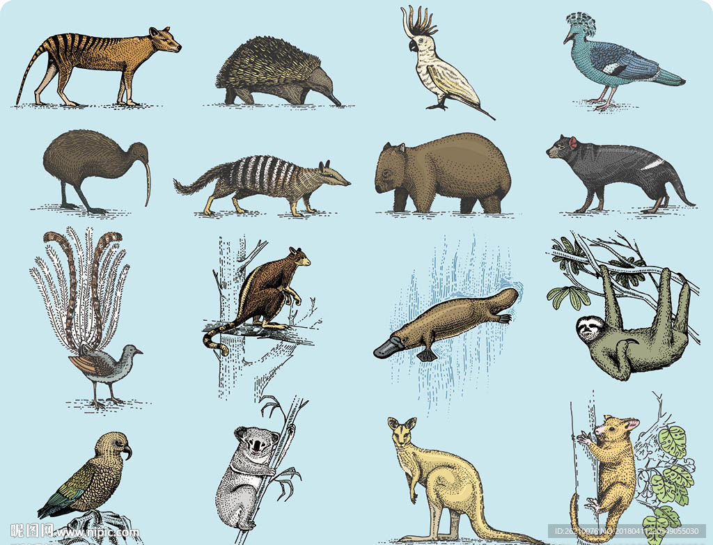 手绘素描动物墙贴设计素材