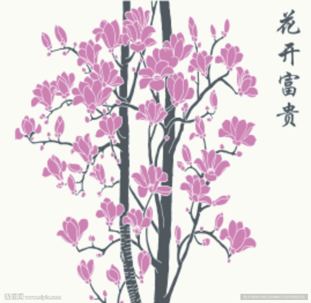 玉兰花 花开富贵