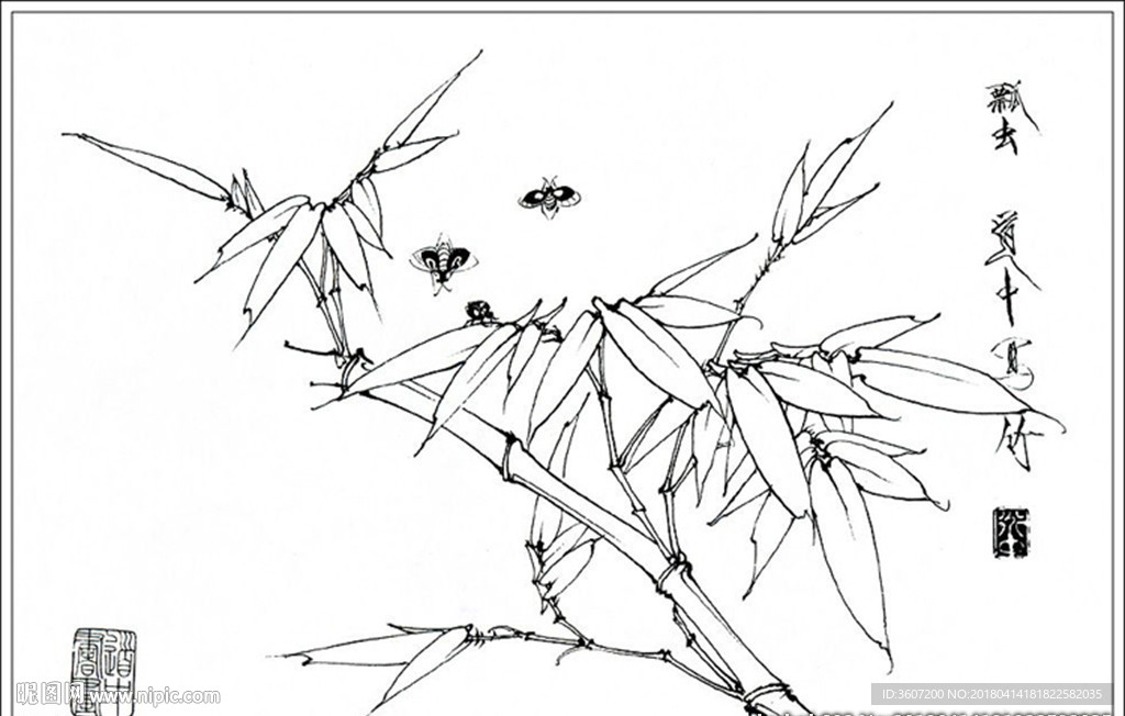 竹子线描 竹子白描 竹子素描