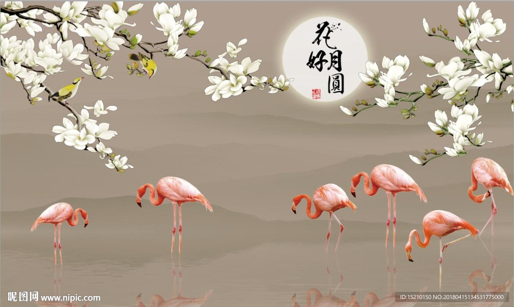 花好月圆玉兰花