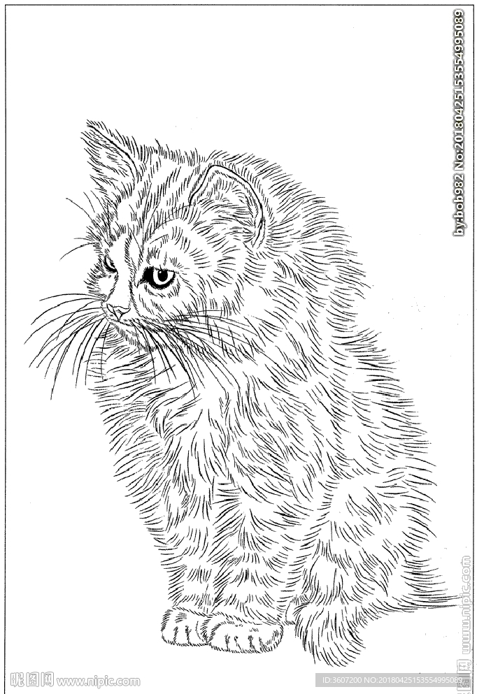 猫咪线描 猫咪白描 猫咪素描