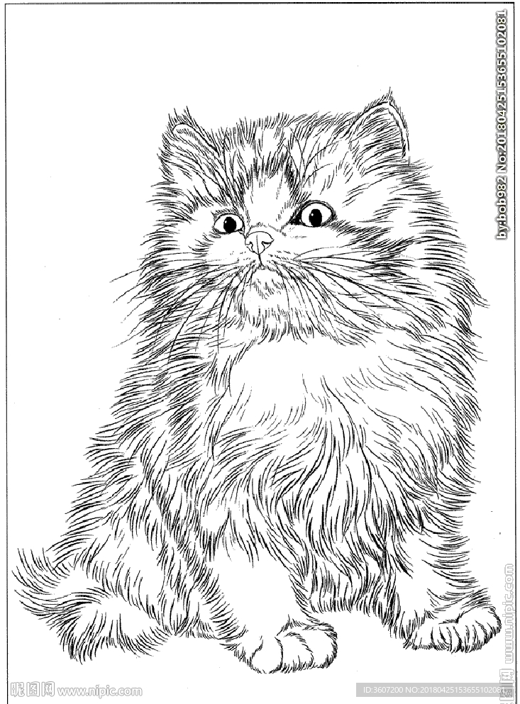 猫咪线描 猫咪白描 猫咪素描