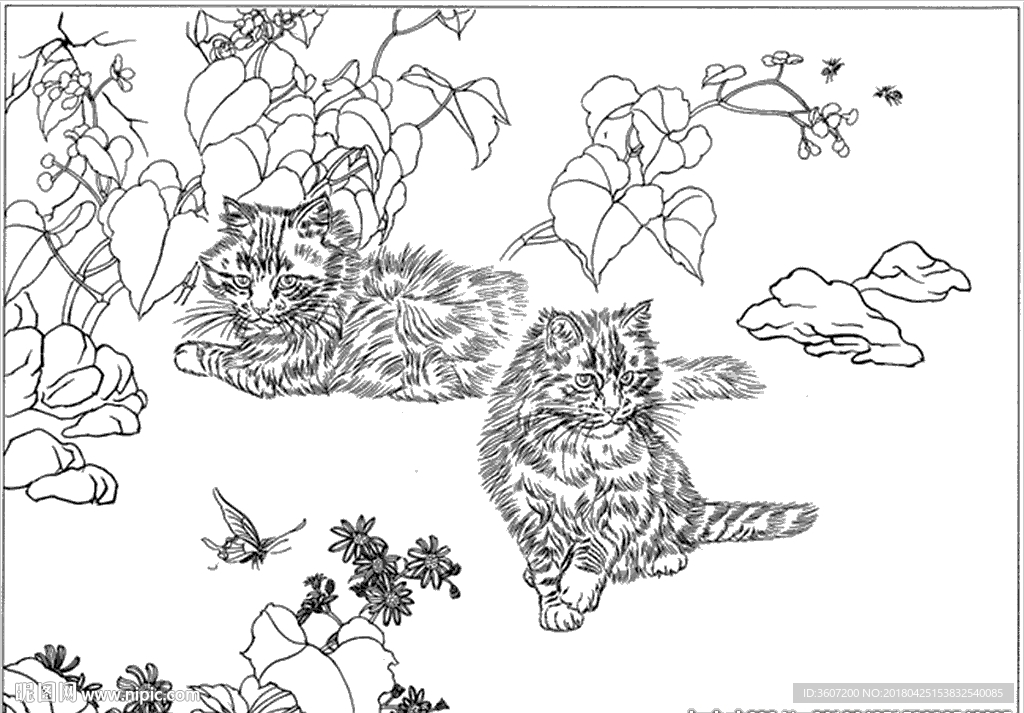 猫咪线描 猫咪白描 猫咪素描