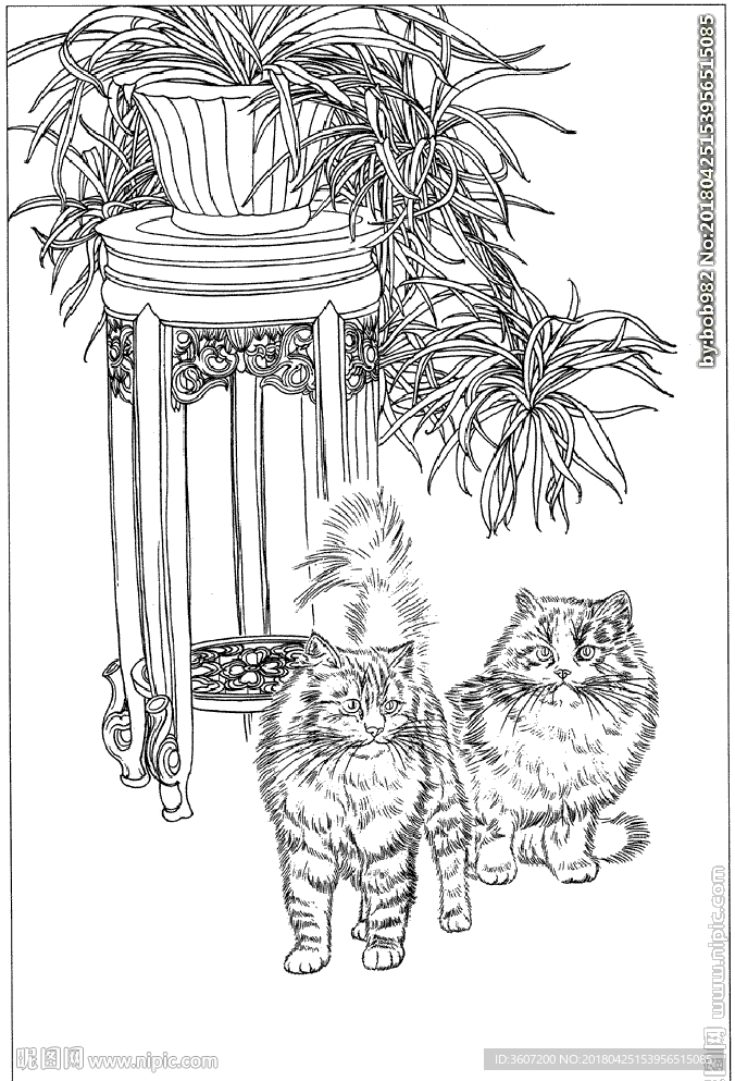 猫咪线描 猫咪白描 猫咪素描