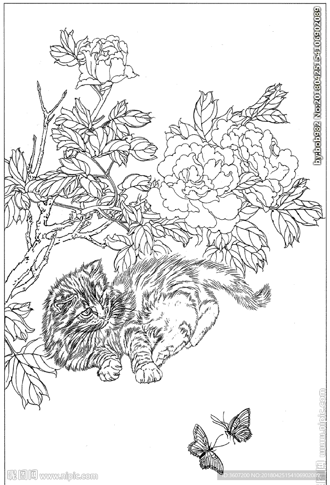 猫咪线描 猫咪白描 猫咪素描