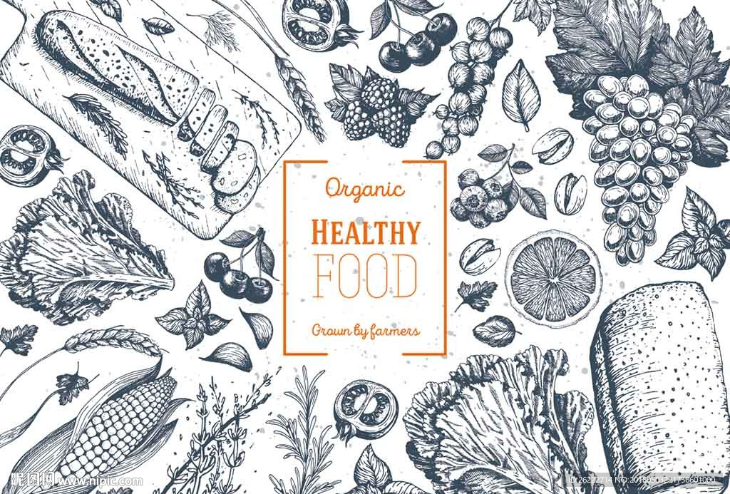 健康饮食手绘素描设计背景墙
