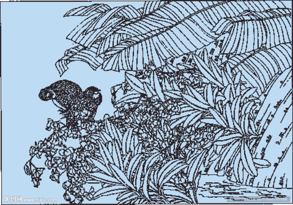 石斛兰线描 石斛兰白描 石斛兰