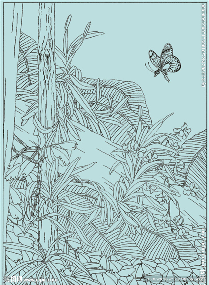 石斛兰线描 石斛兰白描 石斛兰