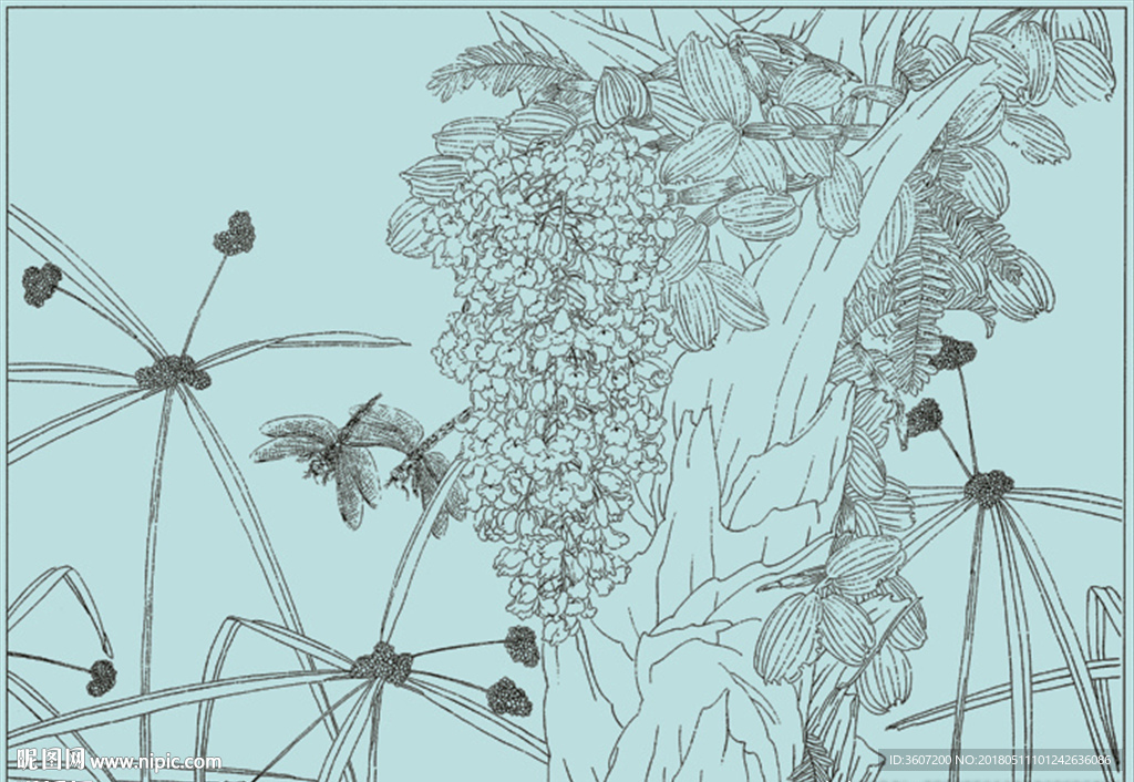 石斛兰线描 石斛兰白描 石斛兰