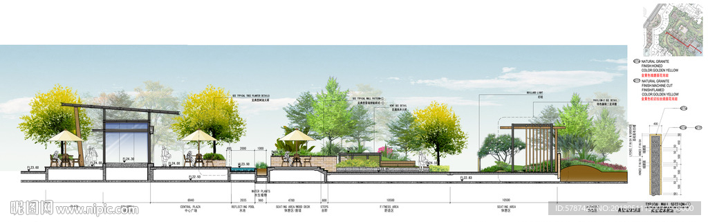 道路绿化设计立面图