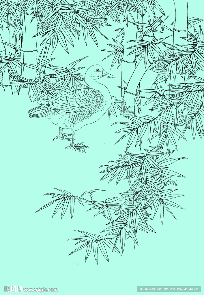 竹子线描 竹子白描 竹子素描