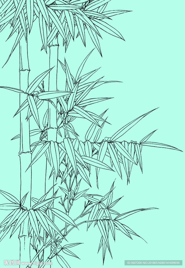 竹子线描 竹子白描 竹子素描