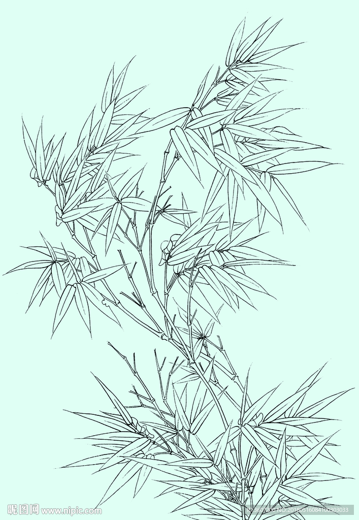 竹子线描 竹子白描 竹子素描