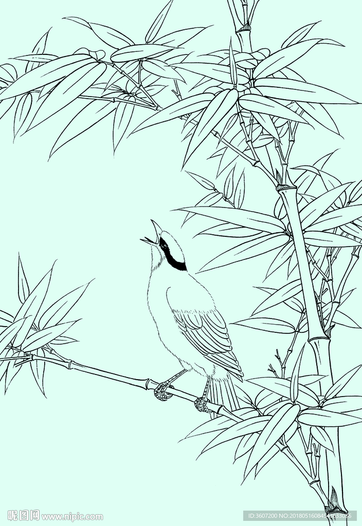 竹子线描 竹子白描 竹子素描