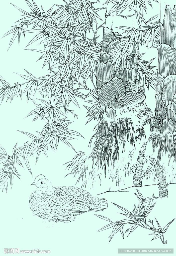 竹子线描 竹子白描 竹子素描