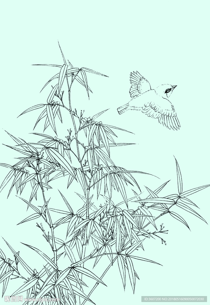 竹子线描 竹子白描 竹子素描