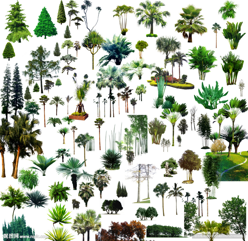 建筑后期绿化素材