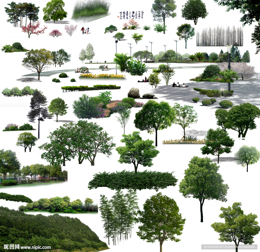 园林树木绿化素材