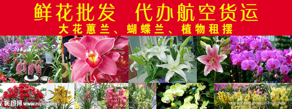 鲜花批发 鲜花 绿色植物 百合