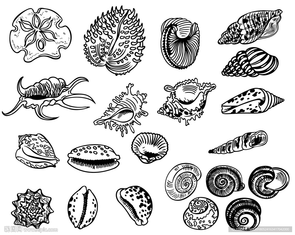 手绘鱼贝类海洋生物